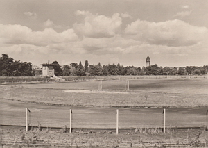 Senftenberg